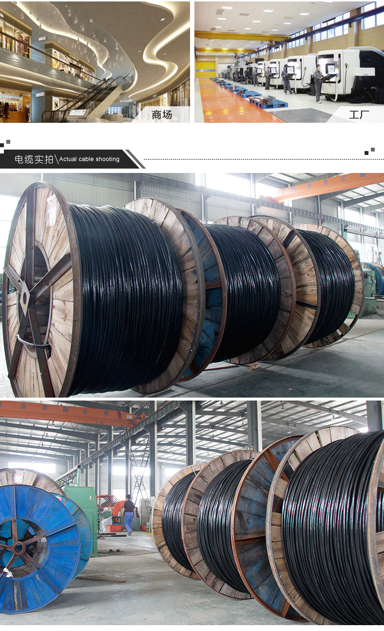 YJV交联聚乙烯电力电缆(图5)