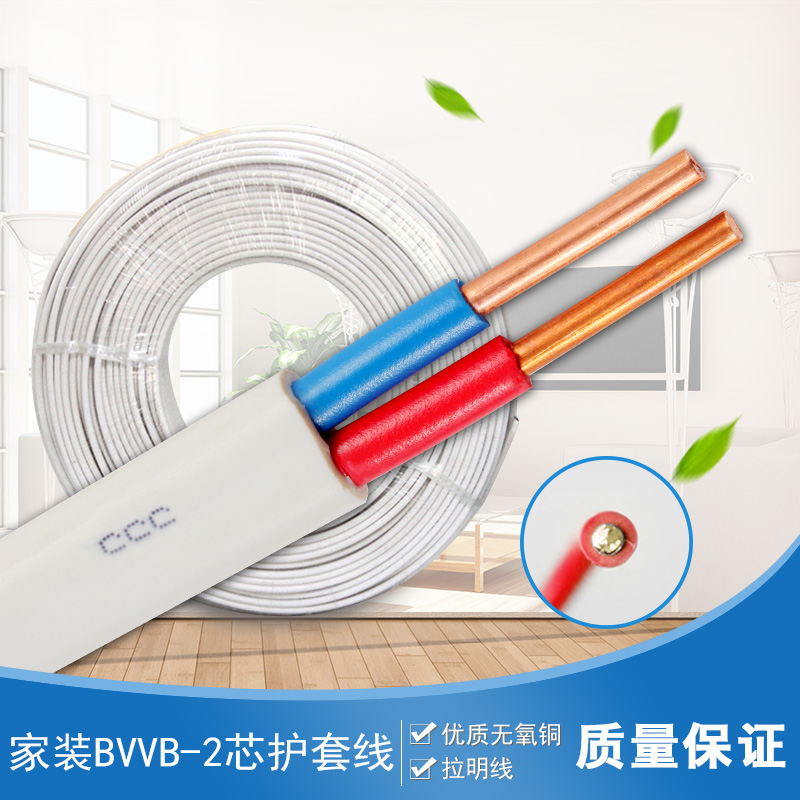 冬奥看线缆 | 特制电缆搭起供电“大动脉”