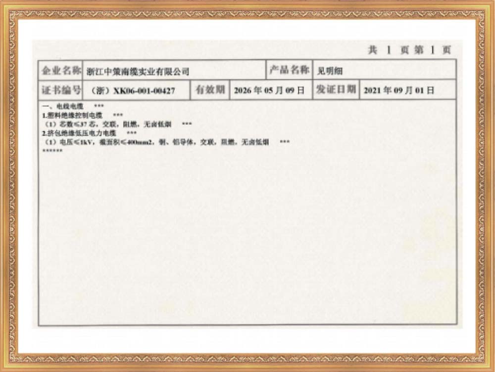 浙江中策资质2025_09.jpg